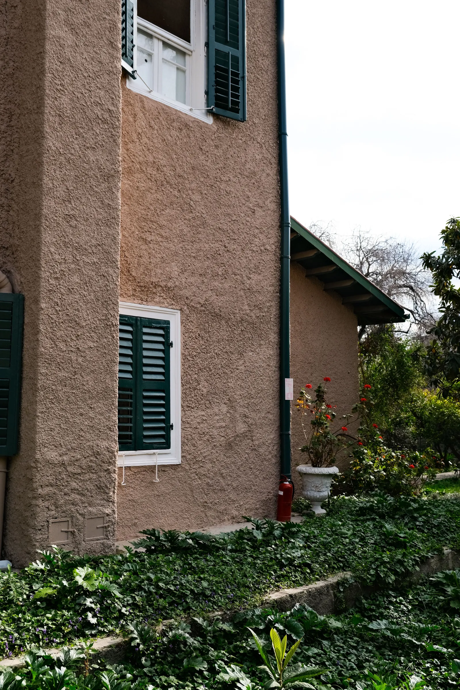 Stock photo: textured tan stucco on a two-story house, with dark green shutters, a downspout, a potted flowering plant and ivy ground cover.